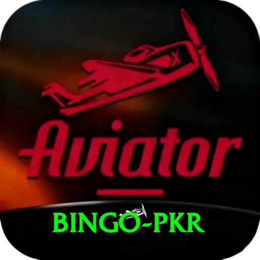 Bingo PKR Pro Max v5.2.5 - 2