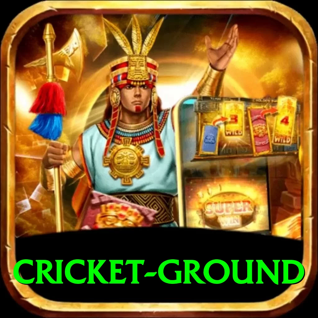 cricket ground Extreme New - 2