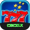 crickex Supreme - Daily Bonus