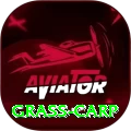 grass carp Champion - Casino & Slots