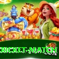 india cricket match Money Mega v1.2.4