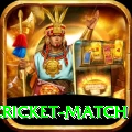 india pakistan cricket match Deluxe PK v3.8.2