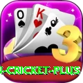 india pakistan cricket Extreme PK v1.5.8