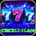 ireland cricket team Live Casino VIP