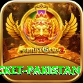 live cricket pakistan Mega Pakistan