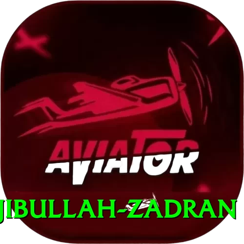 najibullah zadran Casino Official v4.8.6 - 2