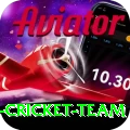 pakistan women cricket team Game Premium v5.8.9