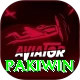Pakiwin Master Pro v4.5.2