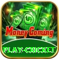 play cricket Premium Jackpot