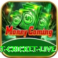 smart cricket live Casino Prime v3.3.7