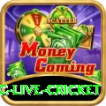 smartcric live cricket Turbo v1.3.5