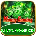 steve waugh Elite PK v2.5.3