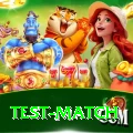 test match Official v4.7.6