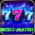 to day cricket match Gaming King v2.7.7
